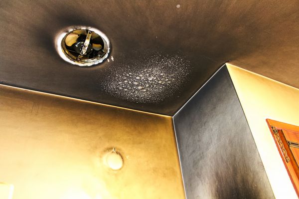 Smoke Remediation Service in Provo